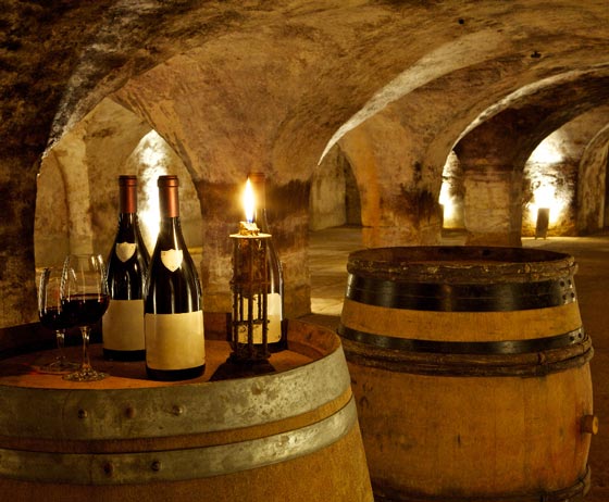 Visiter des caves à vin - Vinotrip